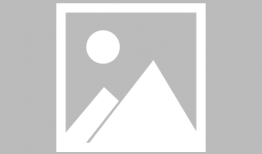 保时捷91直播,揭秘速度与激情的极致驾驭体验